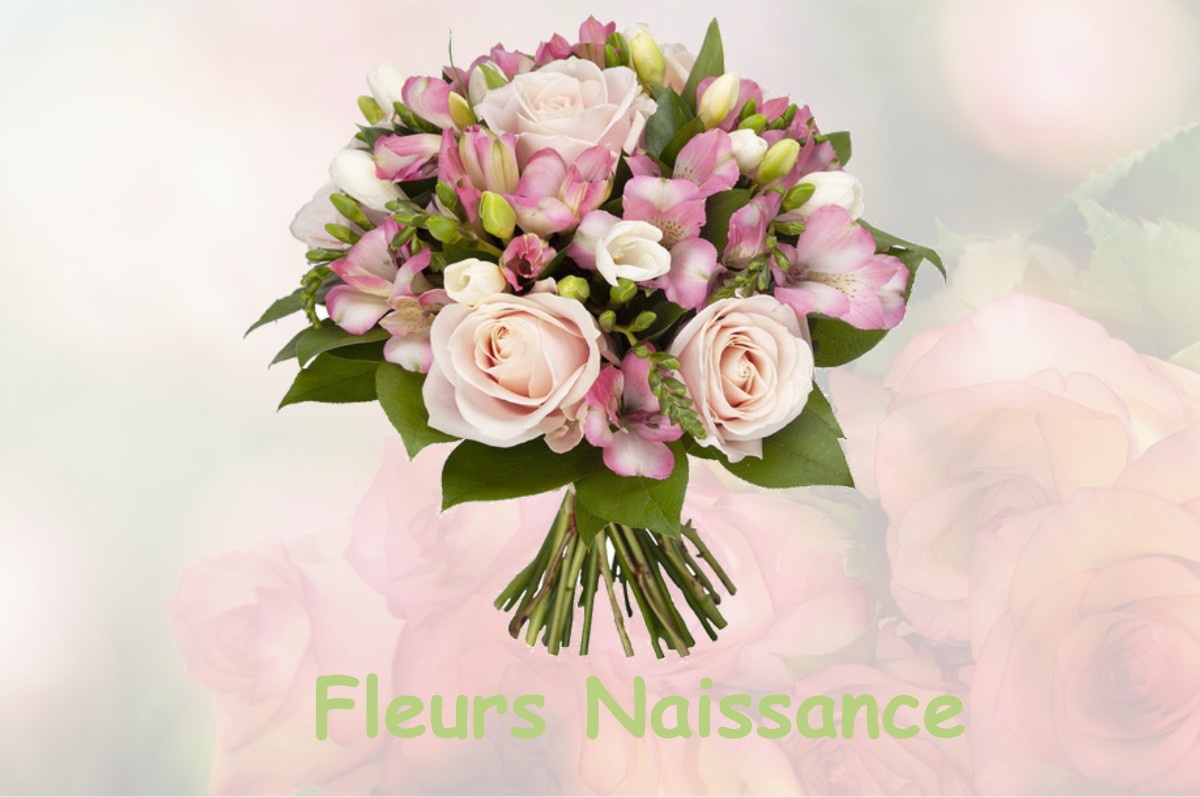 fleurs naissance SAINT-MAURICE-LES-CHARENCEY